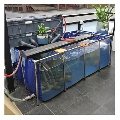 Estanque para koi interior con estructura portátil y visor transparente 2