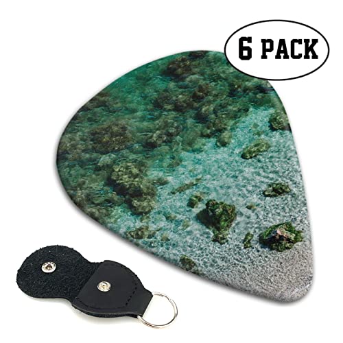 Lot de 6 médiators sous-marins imprimés récif corallien avec boîte de rangement pour guitare acoustique et électrique - Les Beatles, Paul McCartney, John Lennon, RIngo Starr, George Harrison Lot de 6 médiators sous-marins imprimés récif corallien avec boîte de rangement pour guitare acoustique et électrique – Image 3
