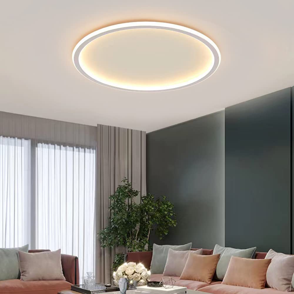 DELIPUSHI 19.6″ White LED Flush Mount Ceiling Light, 60W Dimmable
