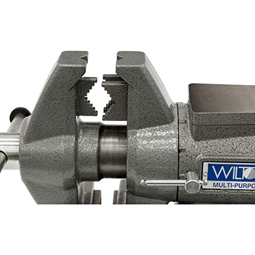 Wilton Tools 550P, Multi-Purpose Bench Vise, 5-1/2