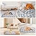 3 Stück Hundedecke Klein Flauschig 60 x 40 cm, Weiche Hundedecken, Waschbar Kuscheldecke Hund, Katzendecke für Katzen, Flanell Welpendecke für Kleine Hunde, Katzen, Welpen, Meerschweinchen, Grau