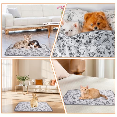 3 Stück Hundedecke Klein Flauschig 60 x 40 cm, Weiche Hundedecken, Waschbar Kuscheldecke Hund, Katzendecke für Katzen, Flanell Welpendecke für Kleine Hunde, Katzen, Welpen, Meerschweinchen, Grau