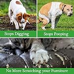 12Pack Cat Repellent Indoor Outdoor, Cat & Dog Natural Repellents Peppermint Oil to Repel Stray Dog Feral Cats Deer Animal Keep Your Home Yard Porch Furniture Curtain from Cat Scratches - Image 4