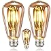 Price comparison product image MeYuxg LED Edison Bulb, Vintage Light Bulbs, E27 LED Filament Bulb 4W (40W Equivalent), 2700K Warm White Decorative Lighting, Antique Style Retro Amber Glass Lamp, 3 Pack