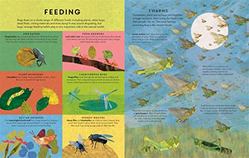 There are Bugs Everywhere 1787415007 Book Cover