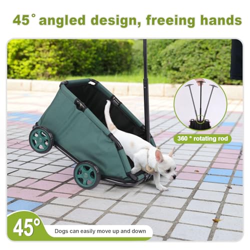 Mini-Hundewagen für Mini-Haustiere, faltbarer multifunktionaler Einkaufswagen mit ausziehbarem Ziehgriff Im Freien, Wagon eingebautem Kissen und Sicherheitsseil mit Aufbewahrungstasche (Dunkelgrün)
