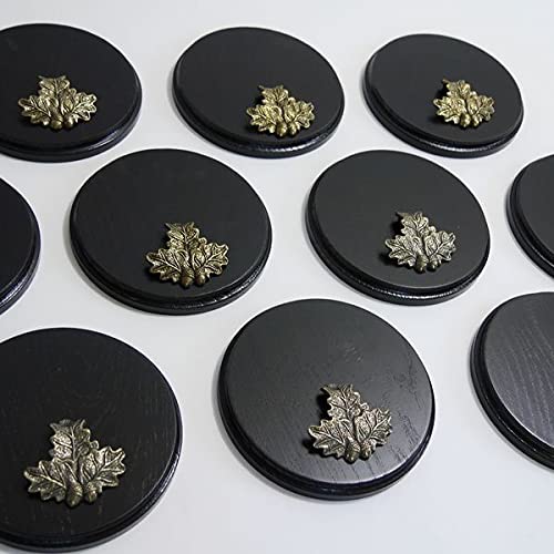 10 placas de cuña para cuña, tabla de especias, placa para trofeos, redonda, oscuro, AF 15 cm, con 10 hojas de roble.