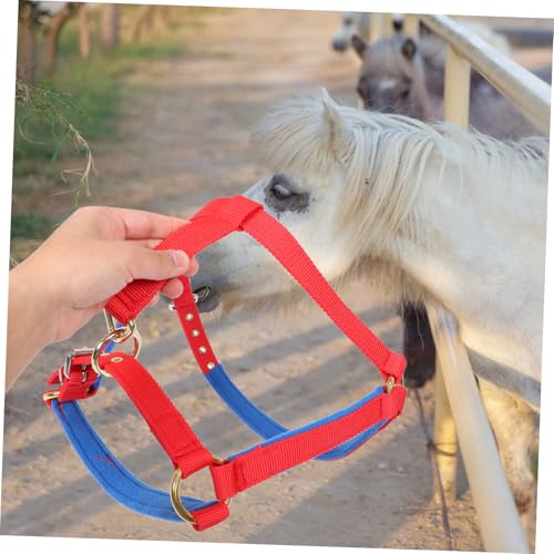Cabestro ajustable de caballo Anneome contra rozaduras y tirones 7
