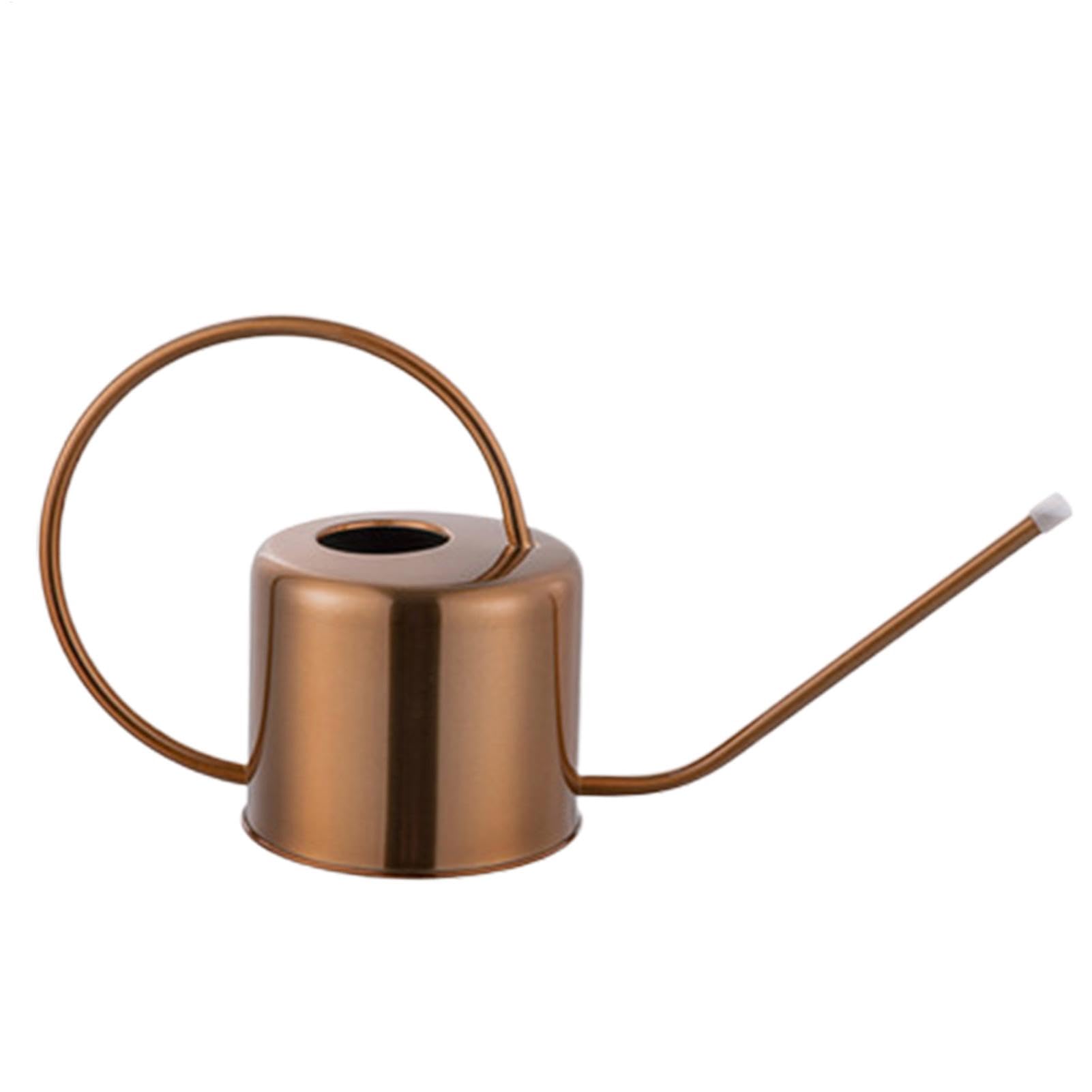 Arrosoir pour d’intérieur en acier et bidon d'eau pour balcon et terrasse