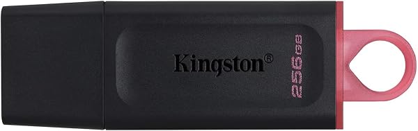 Kingston DataTraveler Exodia 64GB USB 3.2 Flash Drive DTX/64GB - 2