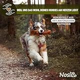 Nosli Natural Toys Snacky Tube für Hunde • Wobbler Snackball Hund • Hundespielzeug Intelligenz • Ohne Farbstoffe • 100% Naturkautschuk • Futterspielzeug & Intelligenzspielzeug