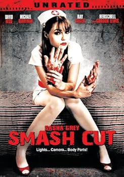 DVD Smash Cut Book