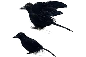 LWINGFLYER Halloween Crows