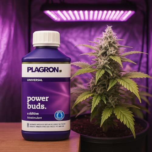 Plagron Power Buds 1 L engrais additif pour une floraison explosive - 6