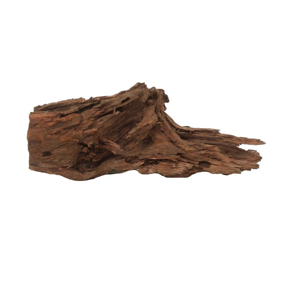 AquaOne Racine de mangrove - Taille XL - 1 pièce - 70-80 cm - Bois naturel - Décoration d'aquarium - Racine en bois véritable