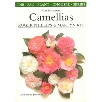Camellias