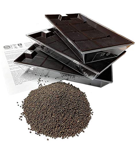 Samenshop24® BIO Keimsprossen\"Alfalfa\" Anzucht-SET, BIO Saat + 3 Keimschalen (das Original) Samenshop24® BIO Keimsprossen\"Alfalfa\" Anzucht-SET, BIO Saat + 3 Keimschalen (das Original)