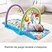 Fisher-Price Gimnasio musical juega y gatea, manta de juego para bebé (Mattel...