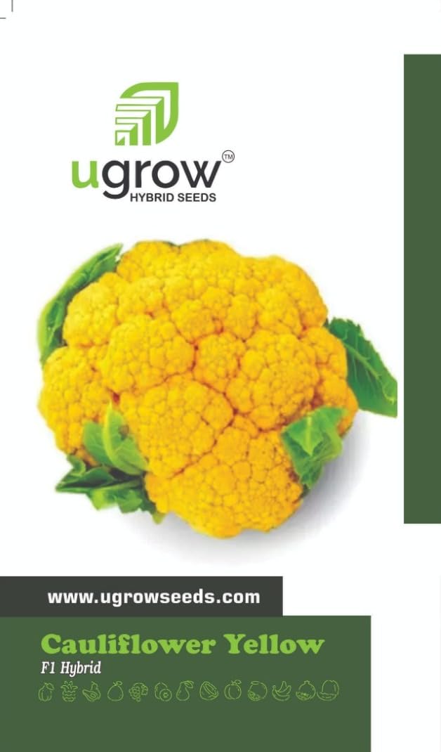 Ugrow India Yellow Cauliflower (Gobhi) Seeds (50 Seeds/Packet) (B09WYDKJZL) Amazon Price History, Amazon Price Tracker