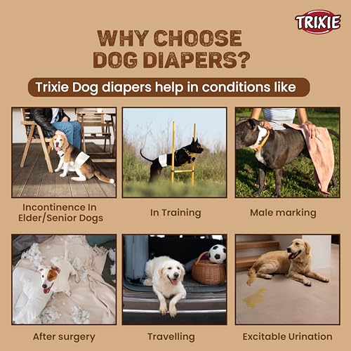 Image of TRIXIE Diapers for Male Dogs, Abdominal Band, Non-Woven Fabric, Prevents Marking, Excitable Urination, Incontinence, After Surgery & Travel - Pack of 12 (S-M)