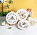 Konrisa Embroidery Kits for Adults Beginner, European Style Bees Collect Honey Stamped Embroidery Starter Kit,DIY Sewing Practice, Needlepoint Cross Stitch Kit,Set of 3