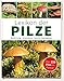 Produktbild Lexikon der Pilze - Bestimmung, Verwendung, typische Doppelgänger: Über 210 Pilze im Porträt