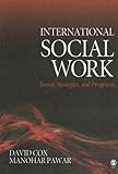 International Social Work: Issues, Strategies, and Programs