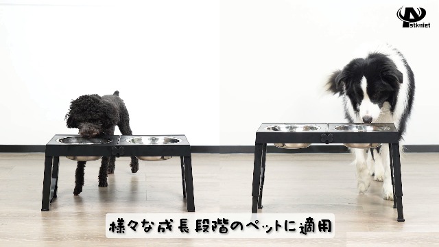 Amazon | Aystkniet犬 食器台 ペット 餌台 ステンレスボウル 4段階 高
