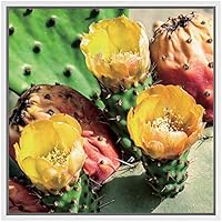 SIGNWIN Framed Canvas Wall Art Eastern Prickly Pear Cactus with Yellow, Orange Flowers Botanical Succulent Photography Realism Modern Closeup Fun for Living Room, Bedroom, Office - 16x16 inches