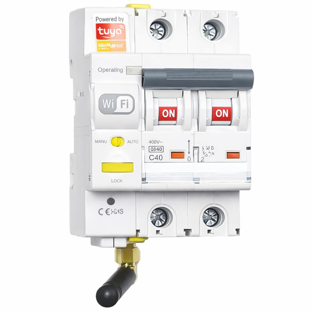 RASMACOR Interruptor Magnetotérmico Reajustable WIFI 2P 16A Curva C 6kA Compatible App Tuya Smart Domótica