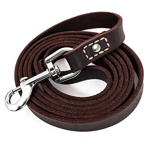 LEATHERBERG Leather Dog Training Leash - Brown 6 Foot x 3/4" Dog Walking Leash Best for Medium Large Dogs, Latigo Leather Dog Lead & Puppy Trainer Leash