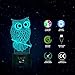 Owl 3D Illusion Lamp, Elstey 7 Color Changing Touch Table Desk LED Night Light Great Kids Gifts Home Decoration