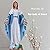 HOLLOII Blessed Virgin Mary Statue 19 Inch with Shining Blue Dress Our Lady of Grace Religious Resin Home Decorative Mary Figurine Catholic Gifts