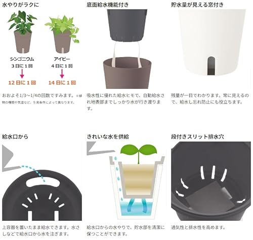 リッチェル 底面給水鉢 ミエルノPlus ポット 13型N ダークブラウン 700900 土容量 0.4L、水容量 0.2L 3枚目