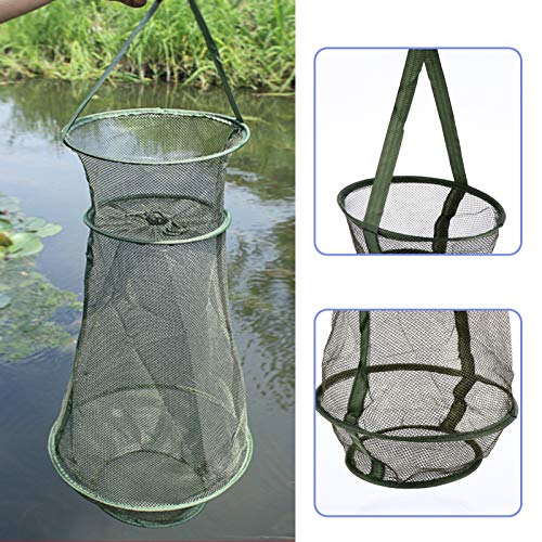 BESPORTBLE 25 cm, rede de pesca, armadilha dobrável para pesca, gaiola de pesca, cesta de pesca para