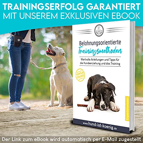 HUND IST KÖNIG Leckerlibeutel für Hunde-Training - Robuster Futterbeutel Hunde, kompakt & funktional - Futterbeutel Hundetraining für schnelles belohnen - mit Kotbeutelspender & Trainings-Ebook