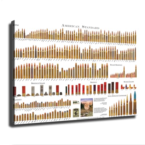 Introduction To Various American Bullets Wall Decor Art Painting Prints