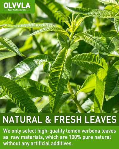 Olvvla - Premium Lemon Verbena Tea Bags - 1.5g X 30 Count - Pure Natural Cedron Herb - Caffeine-free - Non-GMO - Lemon Tea - Verbena Tea - Support Digestion & Promote Relaxation - Image 3