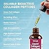 Liquid Collagen Supplement Drops for Dogs: Hip & Joint Support, Skin & Coat Health in One Daily Supplement with Bioactive Collagen Peptides - Pure Formula Support for All Dog Sizes & Ages