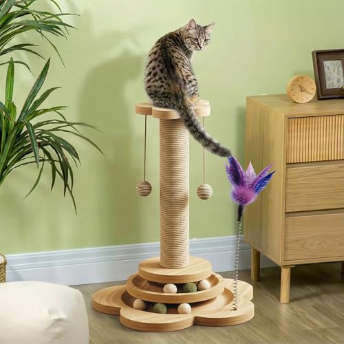Arbre à chat multifonction robuste avec griffoir en sisal - 7