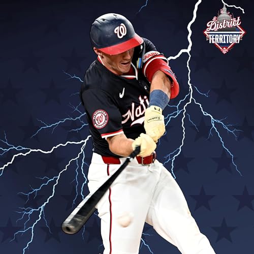 Nats split final 2 against Mets, go to ATL to meet Division Leaders
