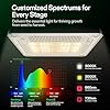 VGrow All-in-One Smart Grow Box, Professional System with Samsung LM301H EVO Grow Light, Advanced Circulation & Ventilation System, Irrigation, Nutrient, Magnetic Window for Indoor Hydroponics #2