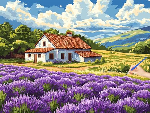 �������G ���� Paint by Numbers ���i �y�C���g�o�C�i���o�[ �����h��G �q�� ���S�� DIY �i���o�[�y�C���g ��H�| �G�� �|�p��h���� �A�N�����L�b�g ��l�̂��߂̃N���G�C�e�B�u�Ȏ �a�����v���[���g �z�[�� �I�t�B�X�̕Ǒ��� ��