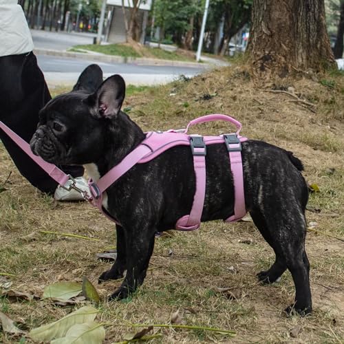 Wuffley Hundegeschirr mit Leine, Sicherheitsgeschirr Hund Ausbruchsicher, Anti Zug Hundegeschirr mit Assistenzgriff und Reflektierende, Leichtes Verstellbare Geschirr für Mittelgroße Hunde (Rosa,XS)