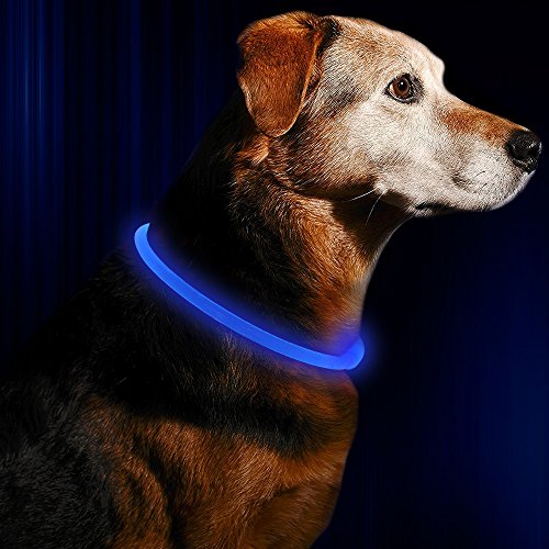 Bseen Led Dog Collar, Usb Rechargeable, Glowing Pet Dog Collar For Night Safety, Fashion Light Up Collar For Small Medium Large Dogs (Royal Blue) #TOP5
