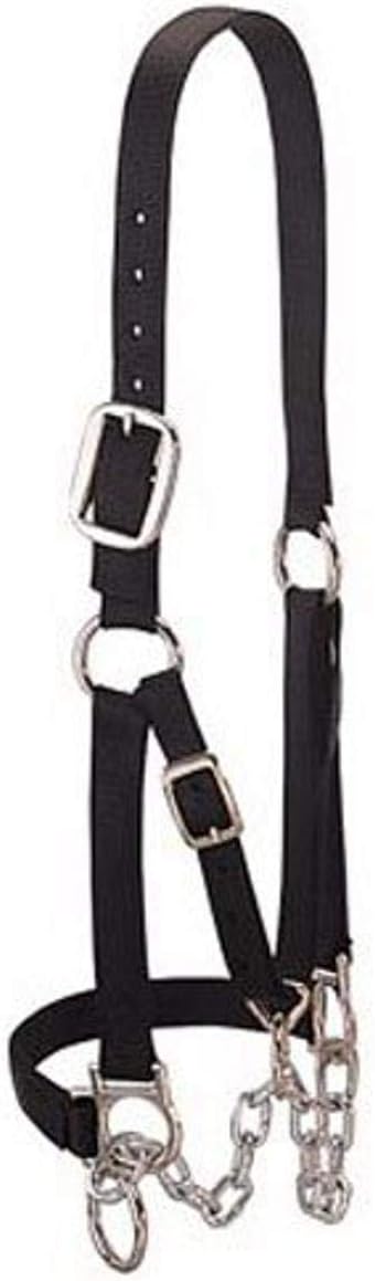 Weaver Leather Heavy-Duty Restraint Halter