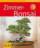  Zimmerbonsai