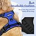 rabbitgoo Dog Harness No Pull with 2 Leash Clips, Adjustable Soft Padded, Reflective Oxford No Choke Pet Vest with Easy Control Handle for Large Dogs, Dazzling Blue, L