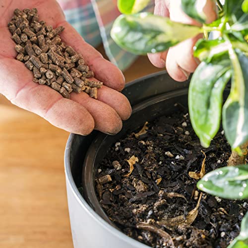 Charlie Carp Natural Pellet Fertiliser - Plant Fertiliser with 3 Months Slow Release Formula - Odourless All Purpose Garden Fertiliser and Plant Food for Indoor Plants and Gardens - 5kg - Image 3