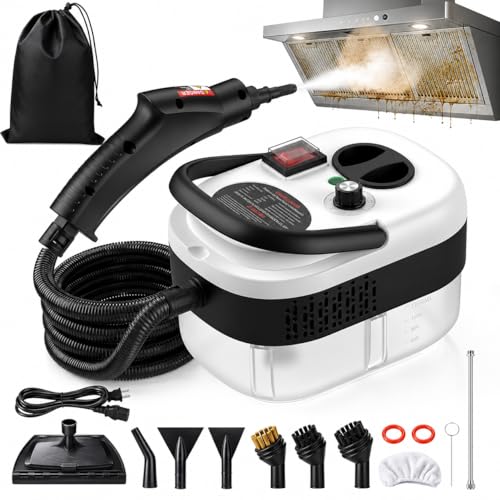 Easywox 2500W 6-Level Steam Gun